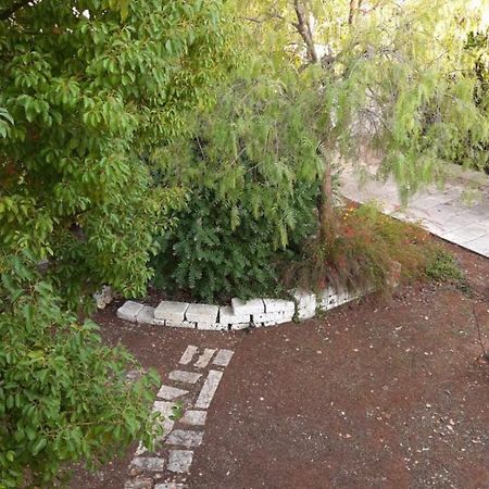 Apartament Borgo Antico - Frontemare Giovinazzo Zewnętrze zdjęcie