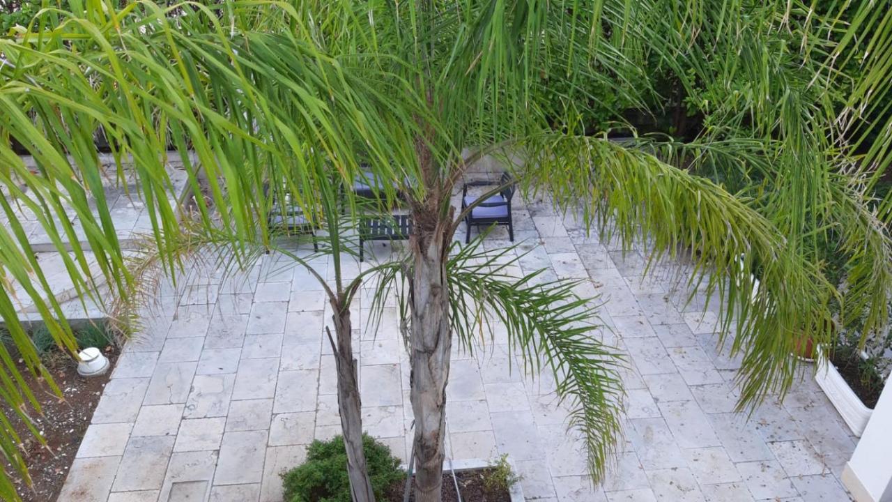 Apartament Borgo Antico - Frontemare Giovinazzo Zewnętrze zdjęcie